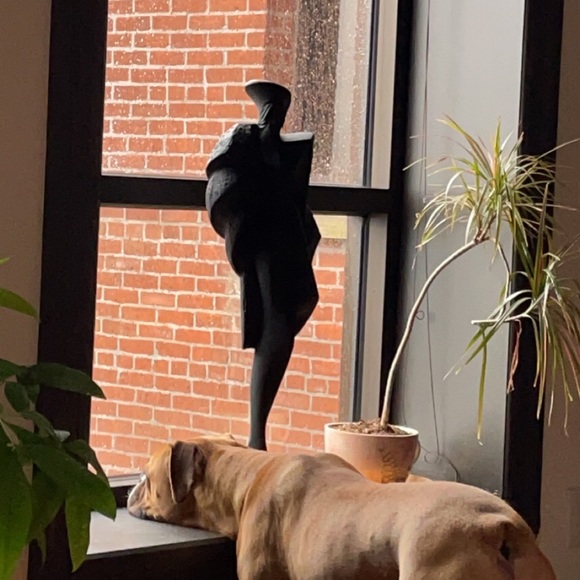 Meet your Posher, Anna - Picture 1 of 1